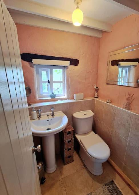 Mill Cottage Garden Annexe Newton Abbot Exterior photo